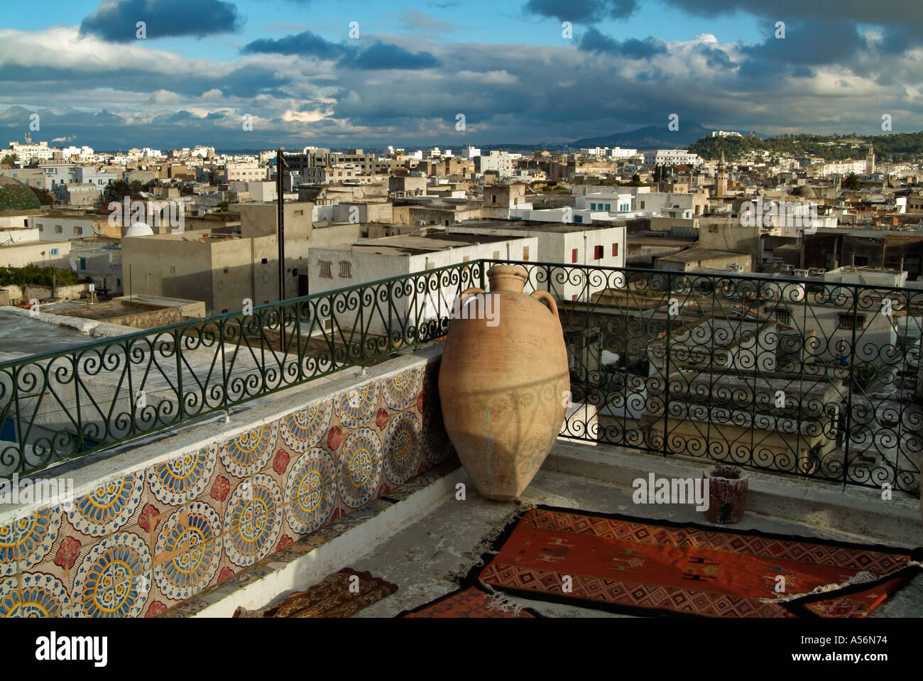 Tunis from rooftop terrace of the old Kings House in the Medina