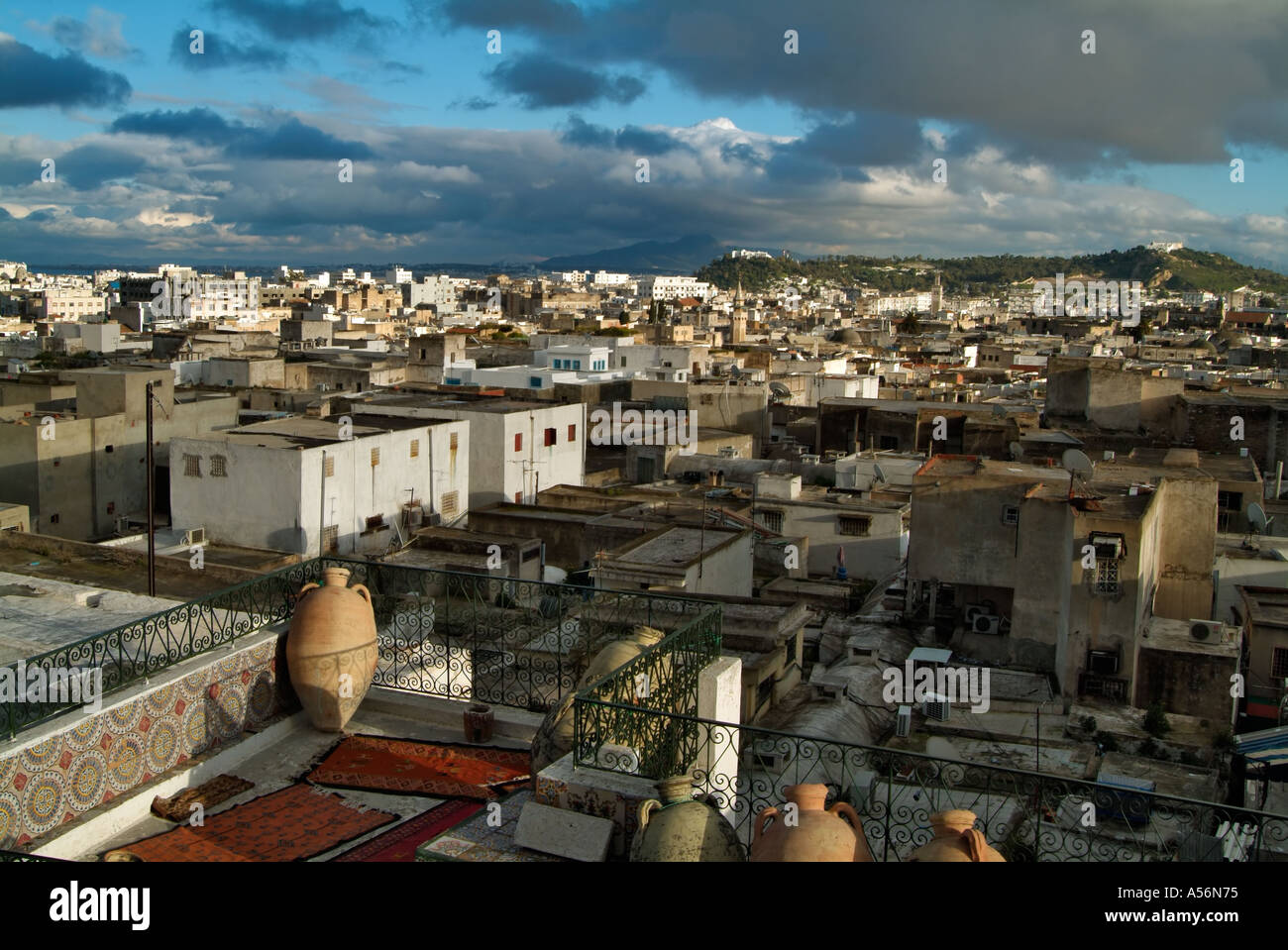 Tunis from rooftop terrace of the old Kings House in the Medina