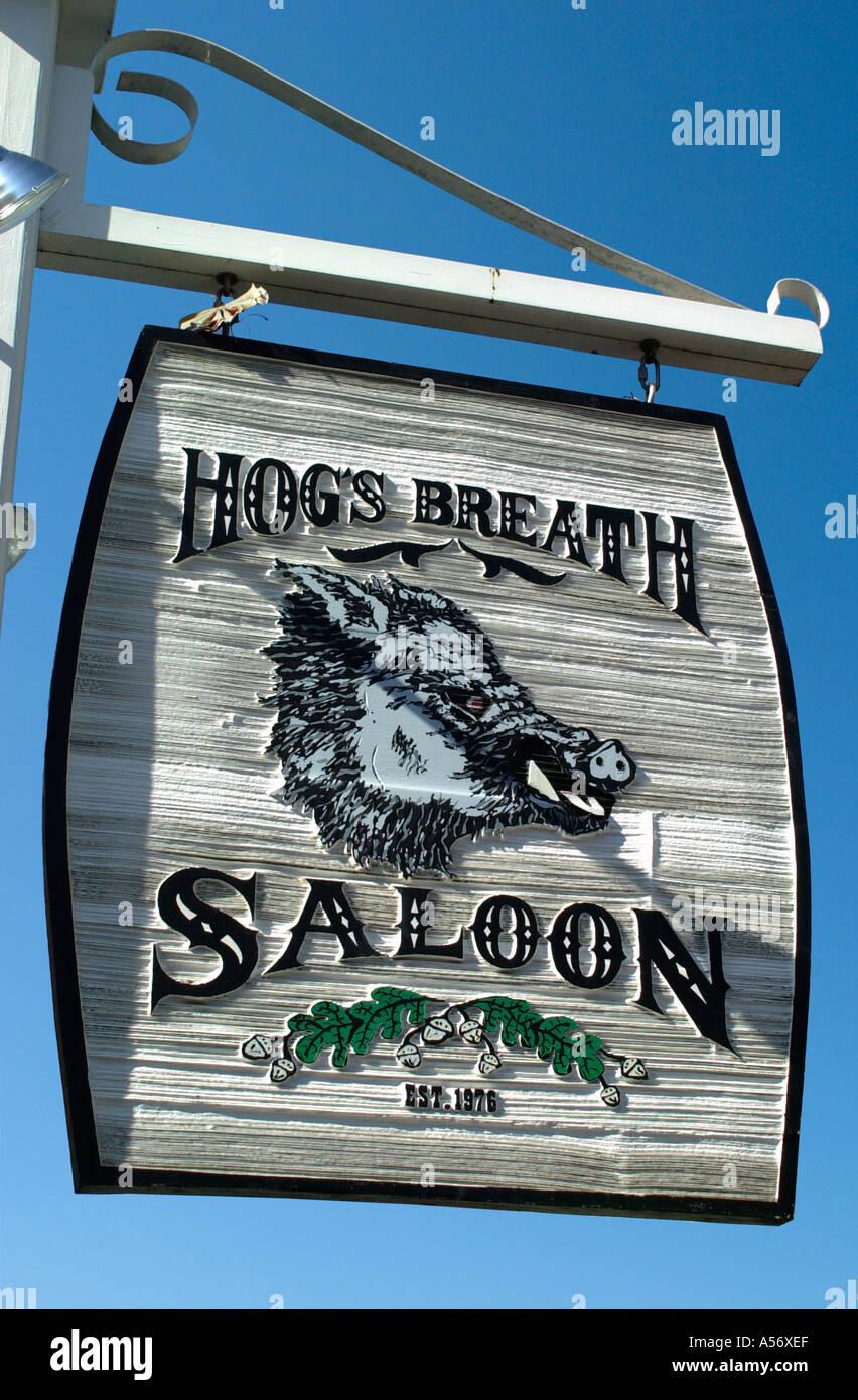 Hogs Breath Saloon Sign, Key West, Florida Keys, Florida, USA Stock Photo -  Alamy