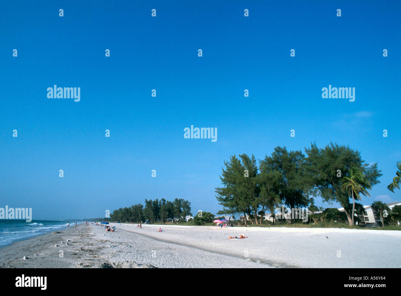 Captiva island hires stock photography and images Alamy