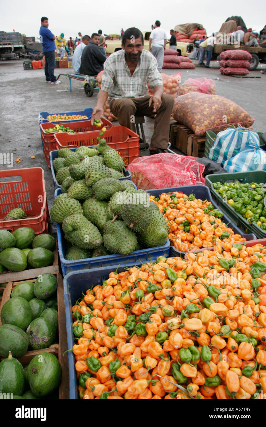 ja1260 venezuela wholesale fruit vegetable market barquisimeto latin america south labor economy food agricultural produce Stock Photo