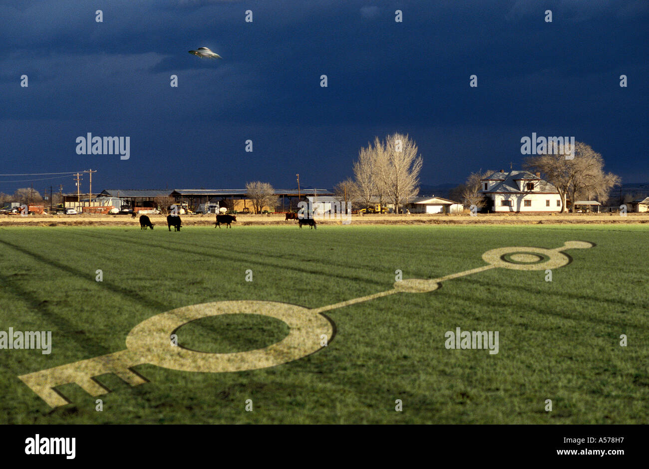 Crop circle, New Mexico, USA Stock Photo