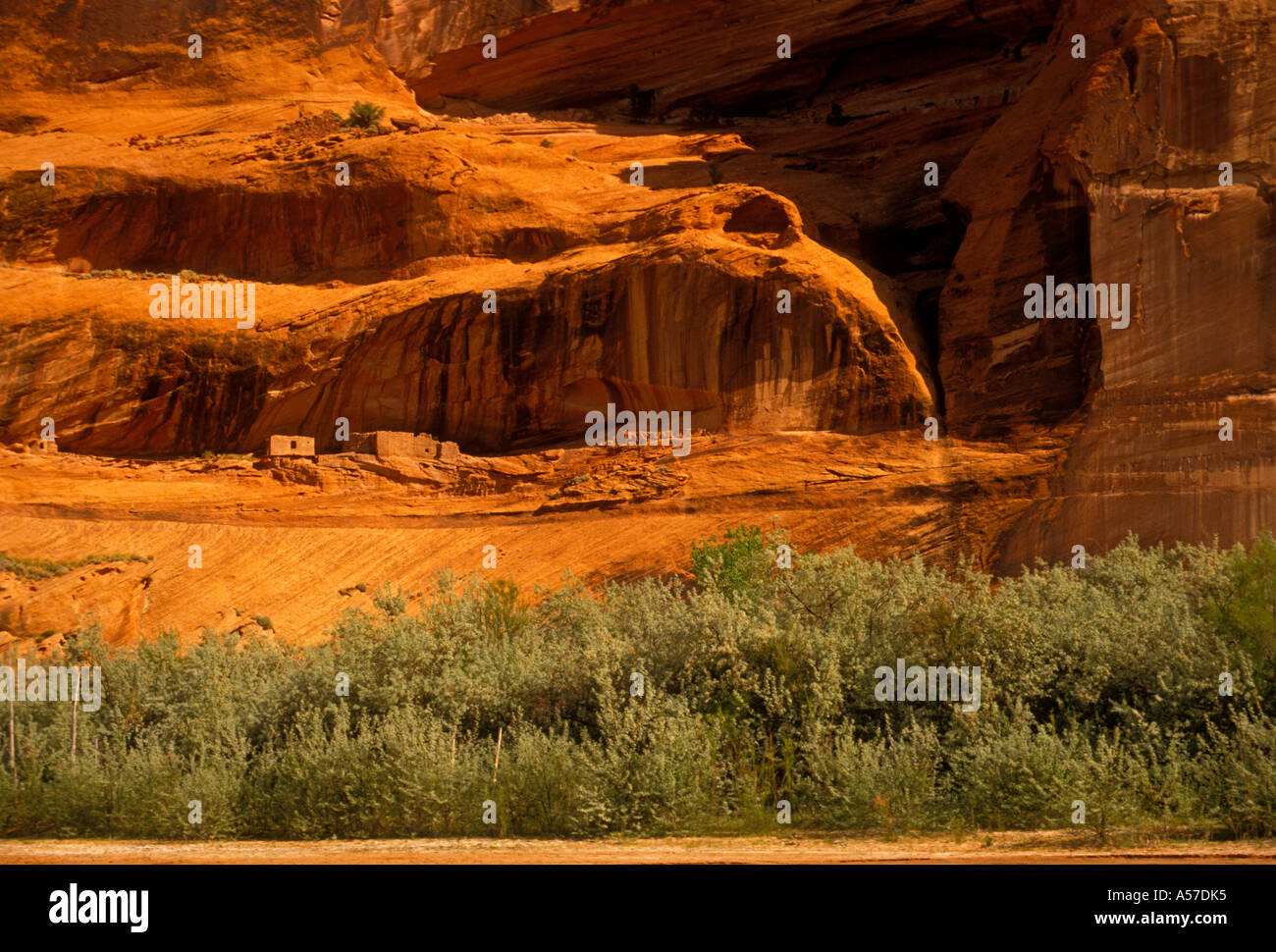 Junction Ruins, Anasazi cliff dwellings, Canyon de Chelly National