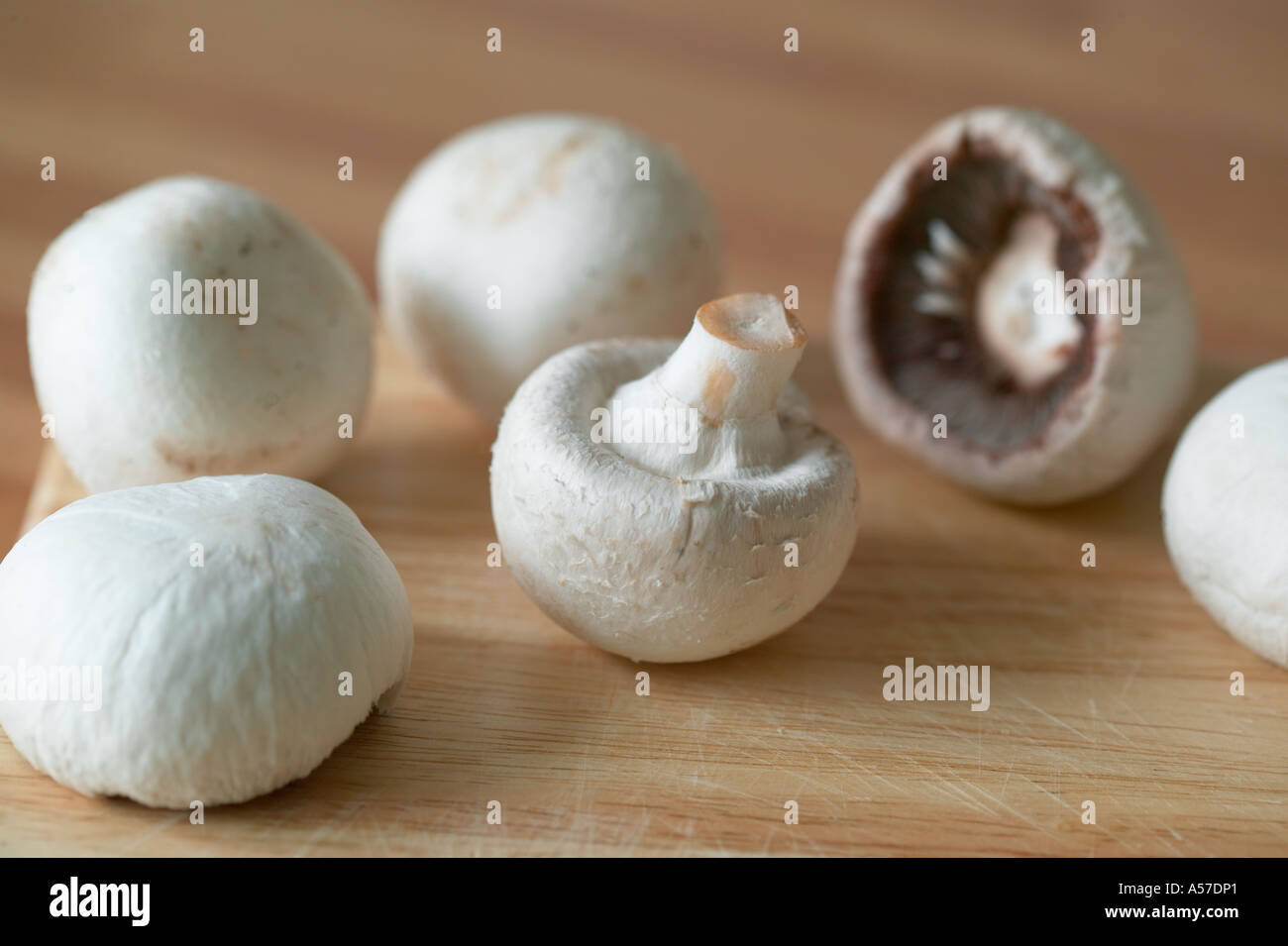 mushrooms ready to cook or eat Stock Photo