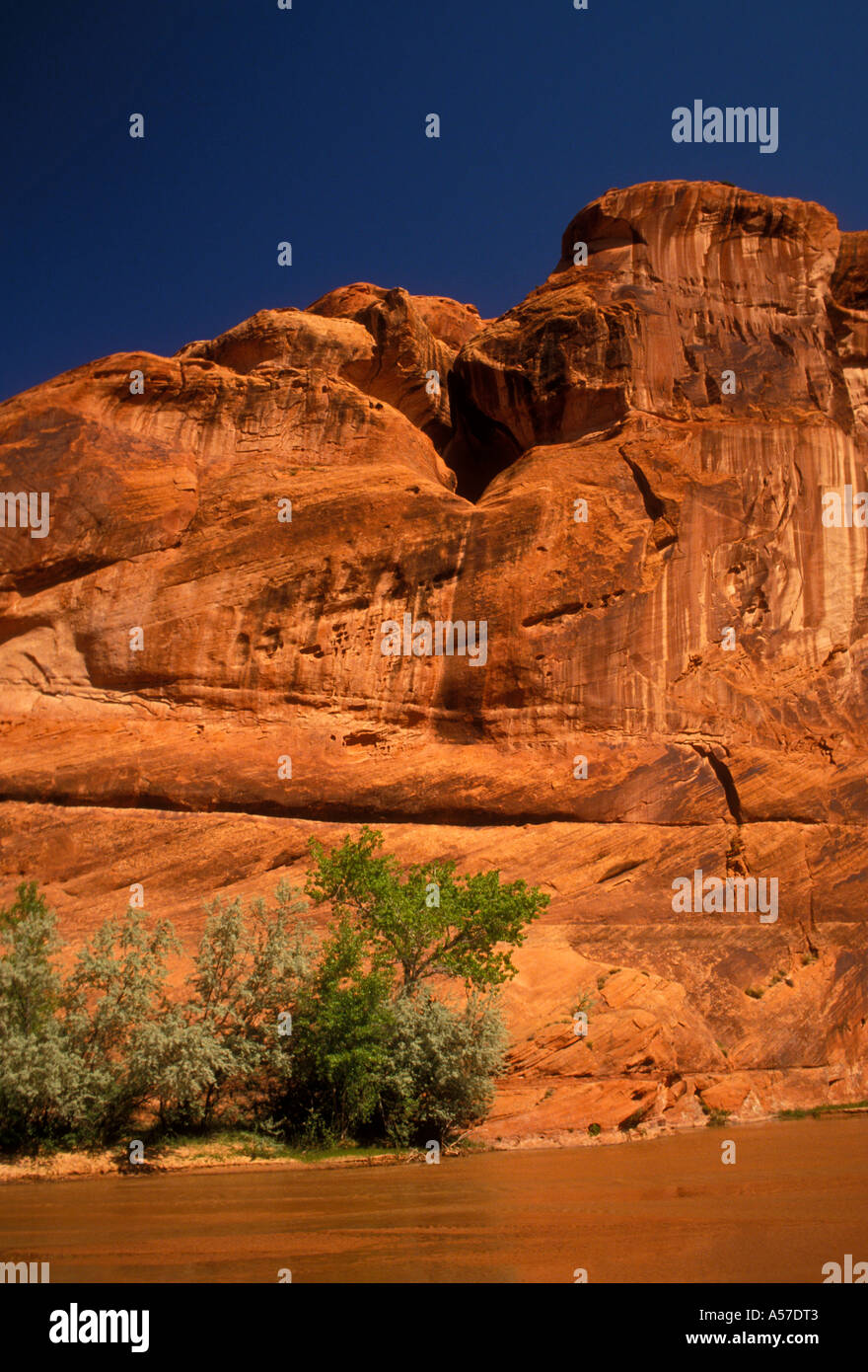 Canyon del Muerto, Canyon de Chelly National Monument, Navajo Indian Reservation, Arizona Stock Photo