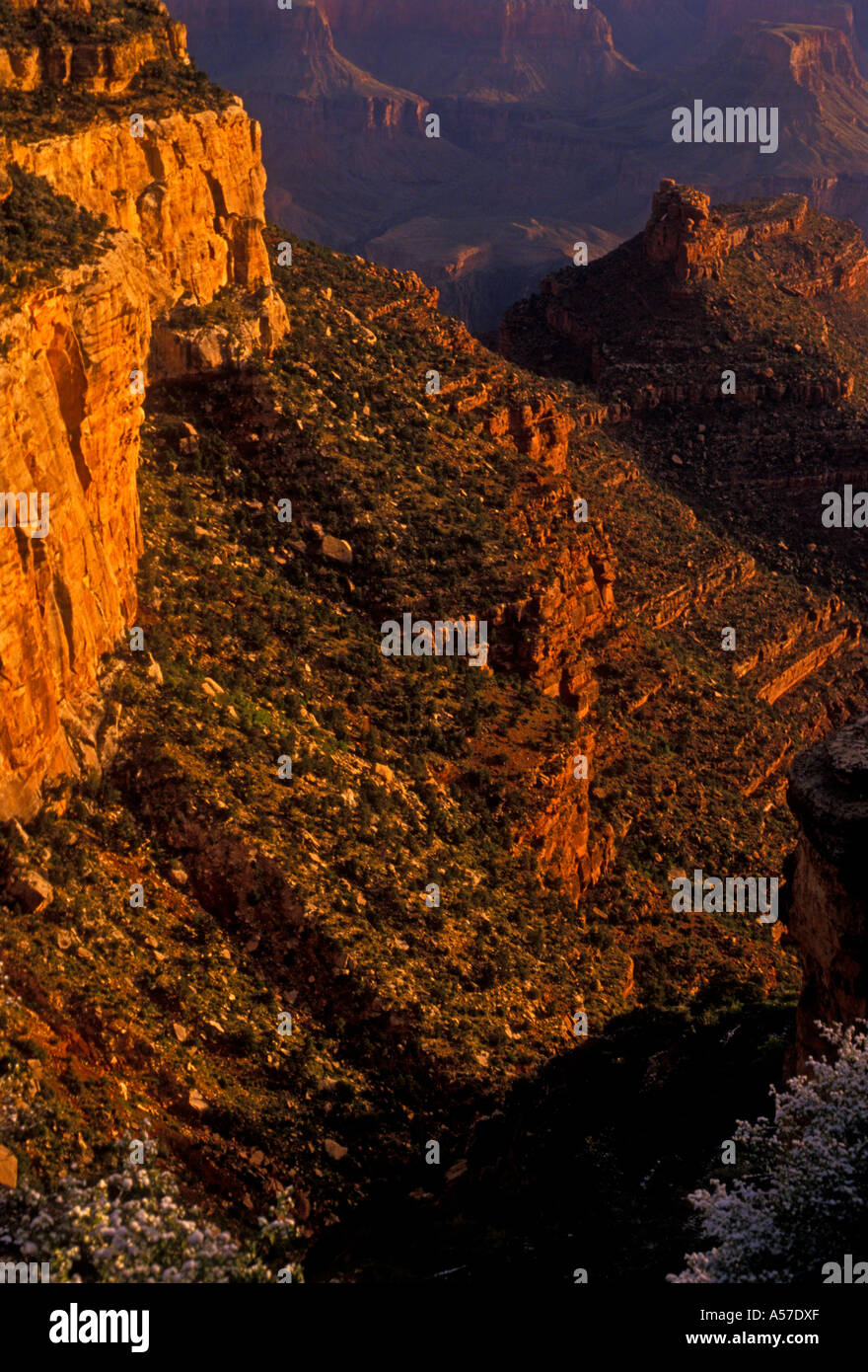 view from Abyss Overlook on the south rim of the Grand Canyon in Grand Canyon National Park Arizona United States North America Stock Photo