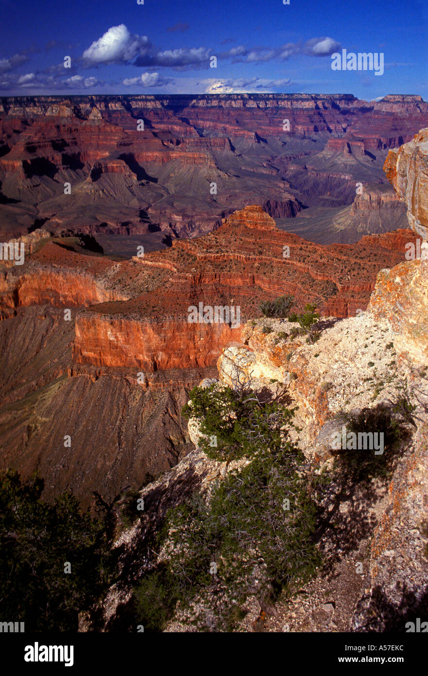 view from Mather Point on the south rim of the Grand Canyon in Grand ...
