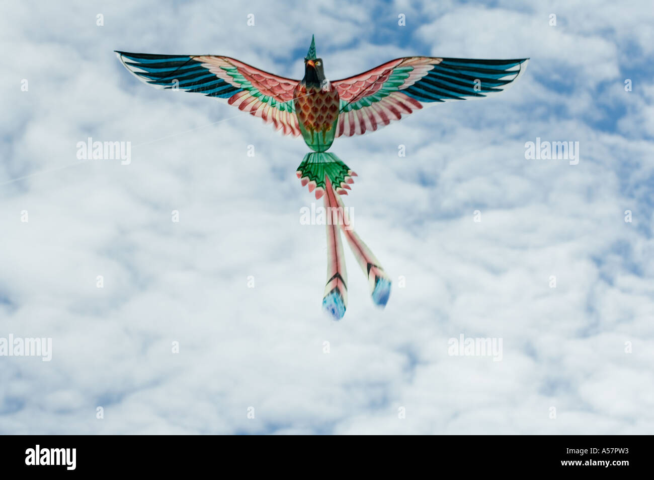 Chinese Bird Kite Hi res Stock Photography And Images Alamy Chinese Bird Kite Hi res Stock Photography And Images Alamy