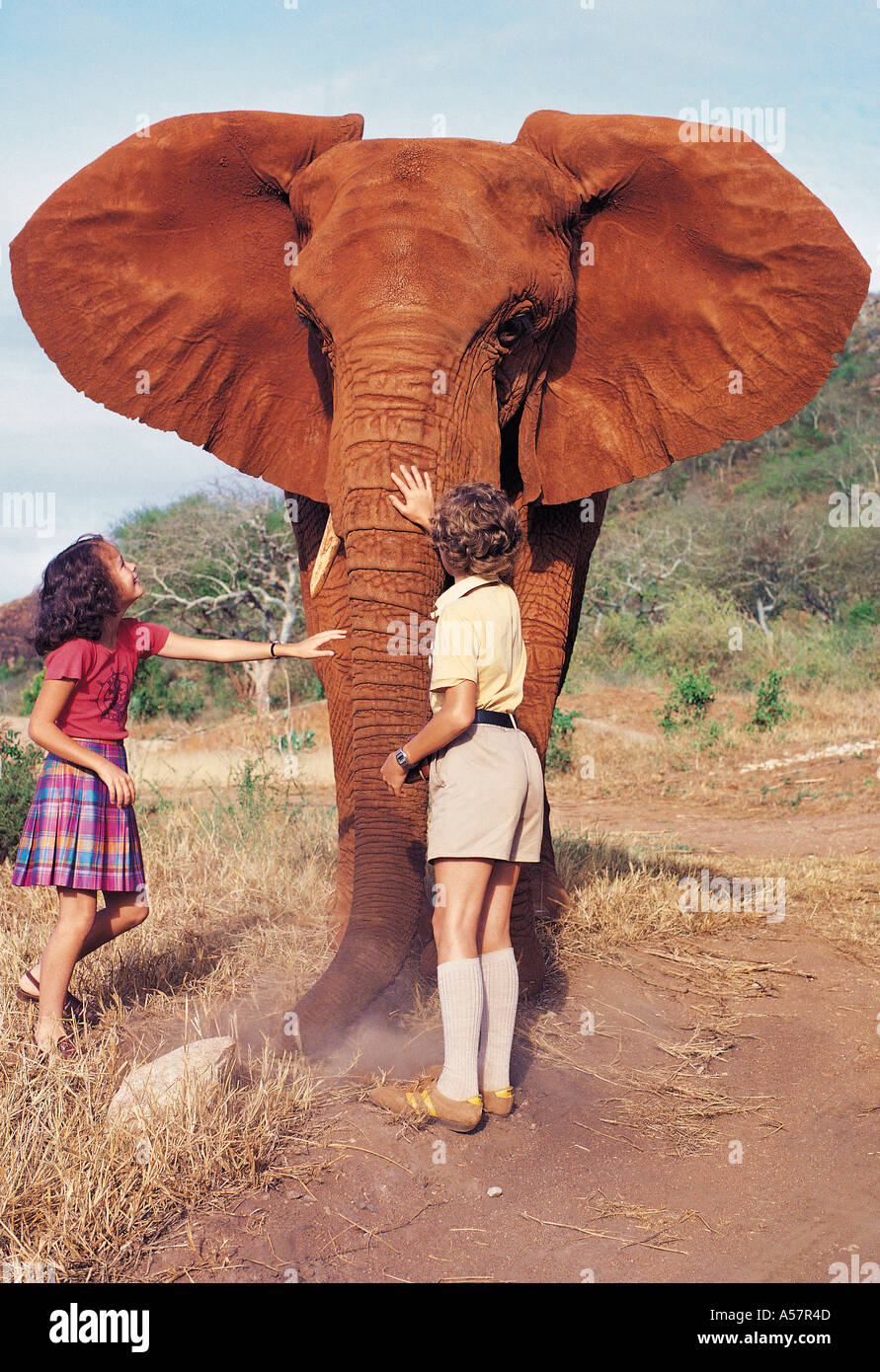Two white children meeting orphaned elephant in Tsavo East National Park Kenya East Africa Stock Photo