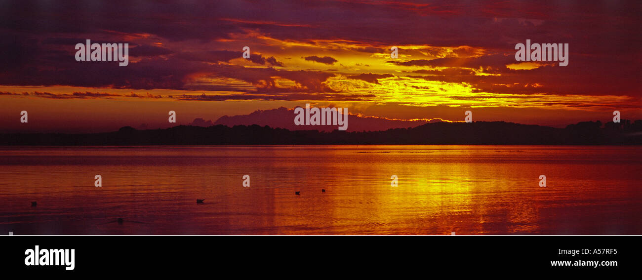 Arne peninsula hi-res stock photography and images - Alamy