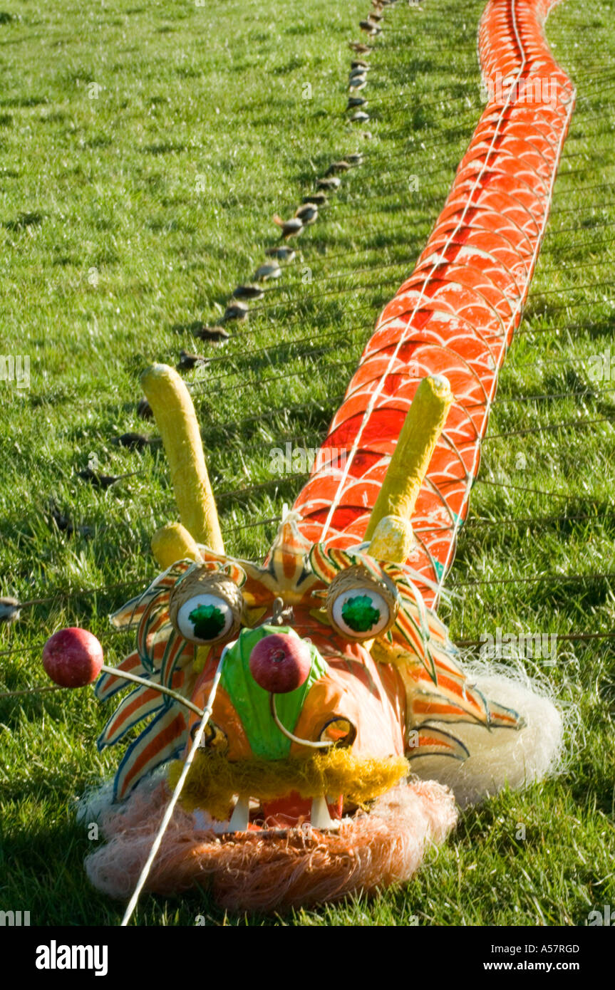 Chinese Dragon kite on the grass before launch, celebration of the