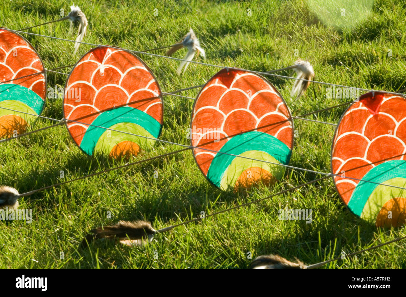 Tail of the Chinese Dragon kite Stock Photo Alamy