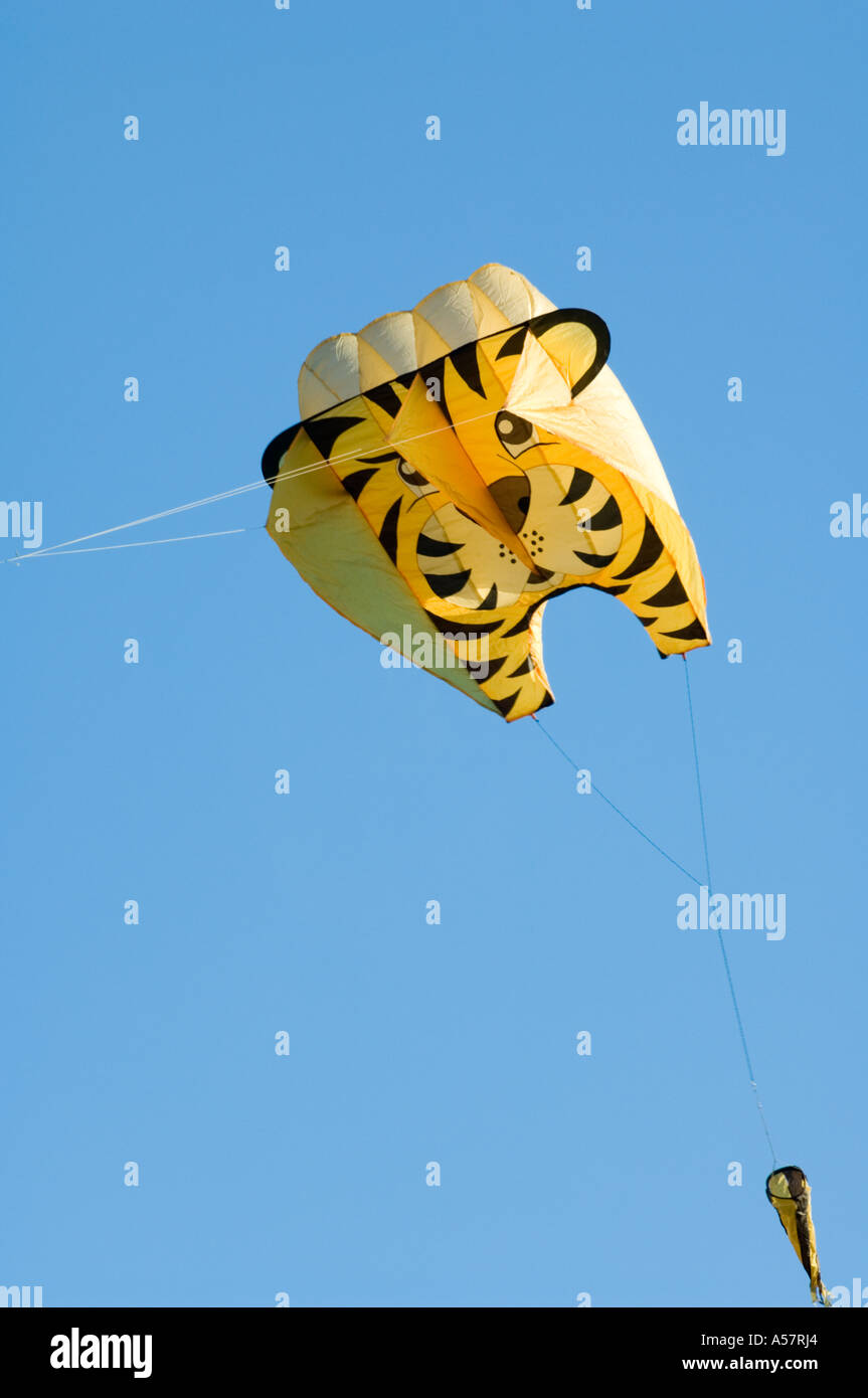 Chinese New Year kite flying festival, York, UK Stock Photo Alamy