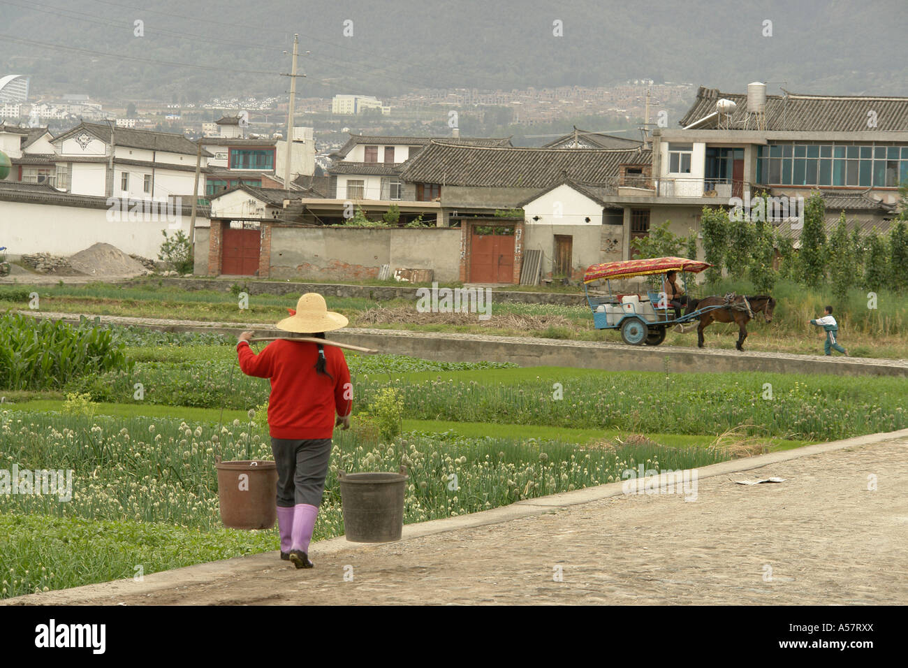 Painet Jf5491 China Farmer Carrying Night Soil Garden Dali Town Yunnan Province Asia Far East 