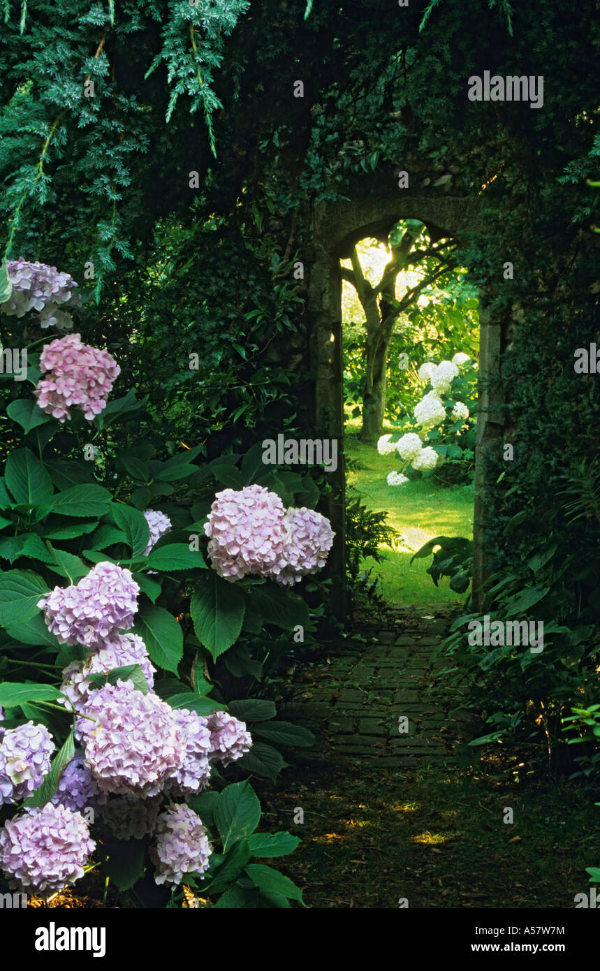 Proven Winners Colorchoice Plant Of The Week Plant Of The Week