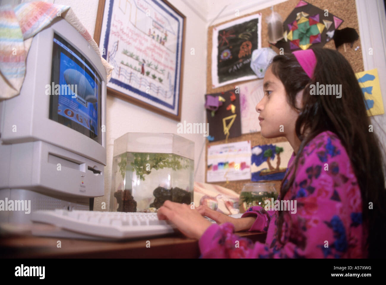 Painet ha2042 4124 girl computer berkeley california usa country ...