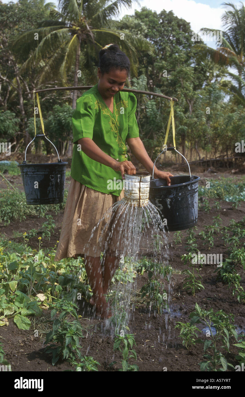 Painet ha2103 4222 indonesia woman watering garden kupang west timor country developing nation economically developed Stock Photo