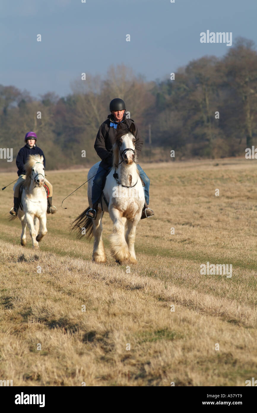 Ponies with exercise hi-res stock photography and images - Alamy