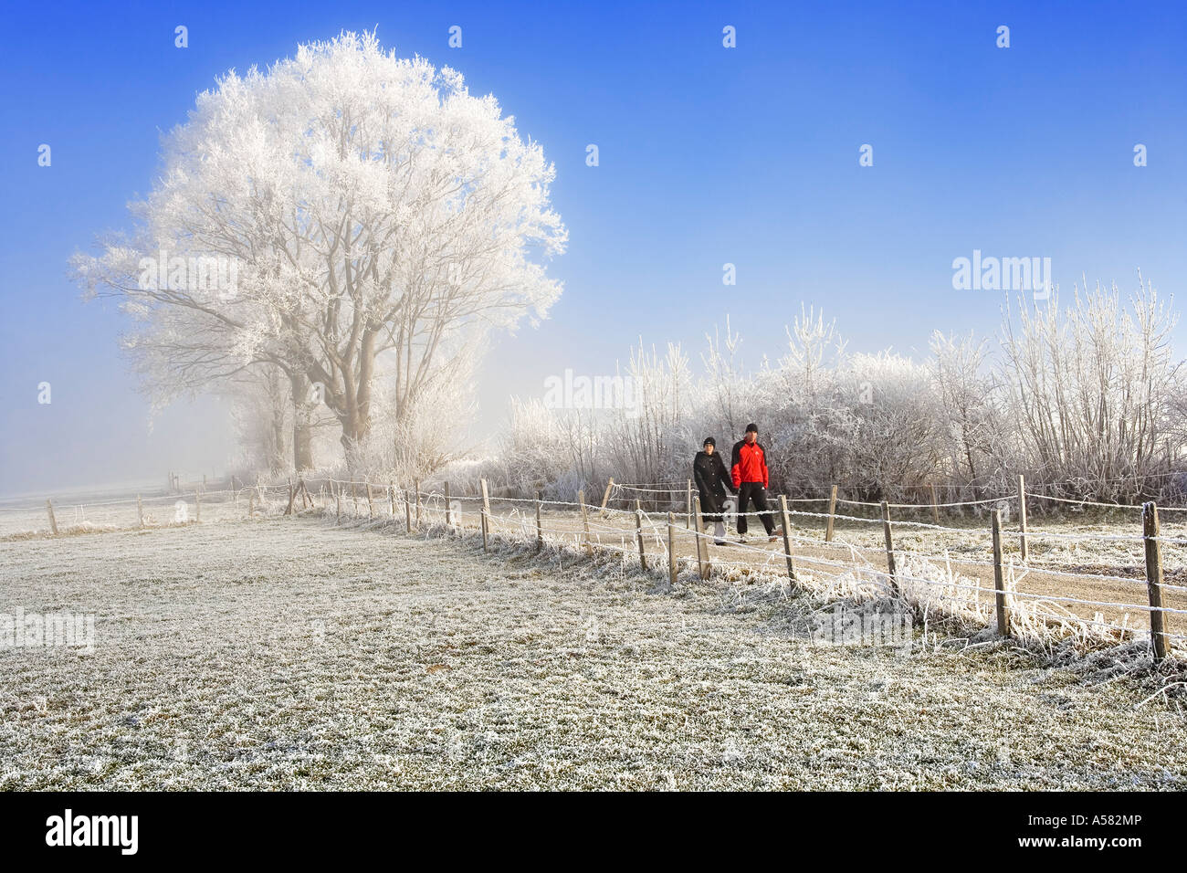 People walking in winter, Sense district, Fribourg, Switzerland Stock Photo