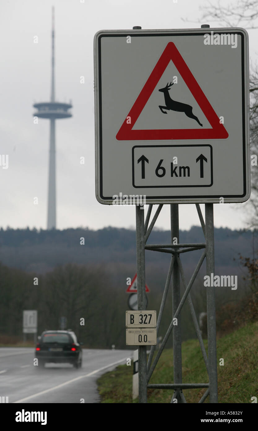 A traffic sign says 'Danger, animals' Stock Photo