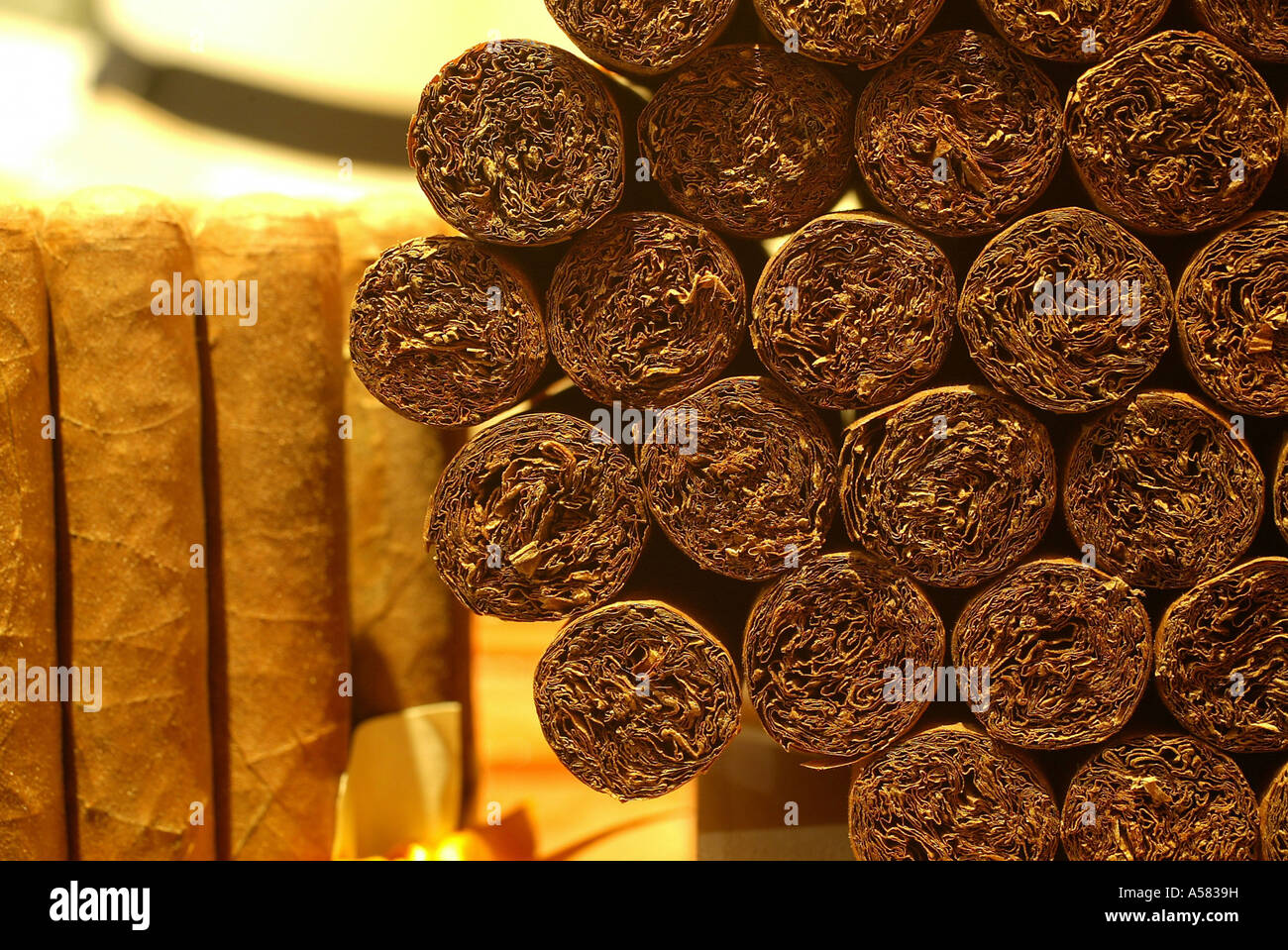 A pack of cigars Stock Photo Alamy