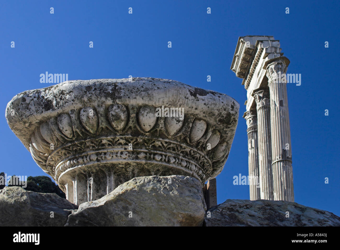 Antique columns, Foro Romano, Rome, Italy, Europe Stock Photo