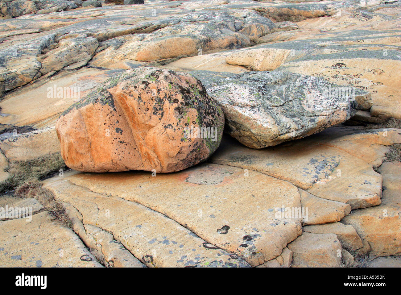 Landscape with granite rocks at the swedish west coast - Ramsvik, Bohuslaen, Vaestergoetland, Sweden, Skandinavia, Europe, Stock Photo