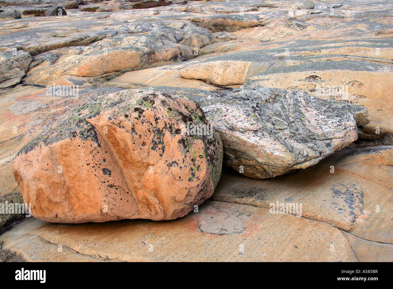 Landscape with granite rocks at the swedish west coast - Ramsvik, Bohuslaen, Vaestergoetland, Sweden, Skandinavia, Europe, Stock Photo