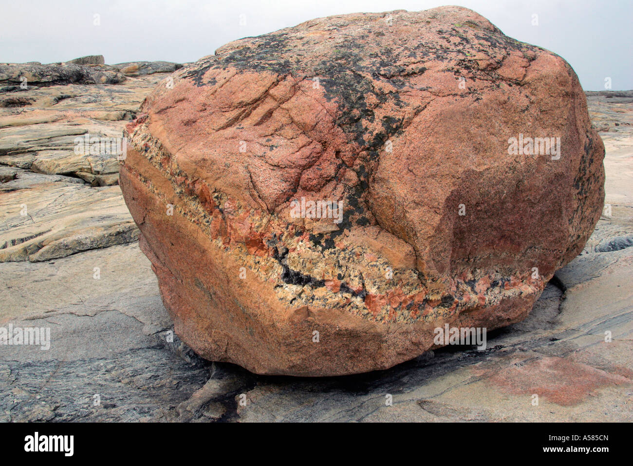 Landscape with granite rocks at the swedish west coast - Europe, Skandinavia, Sweden, west coast, Skagerrak, Bohuslaen, Ramsvik, Stock Photo
