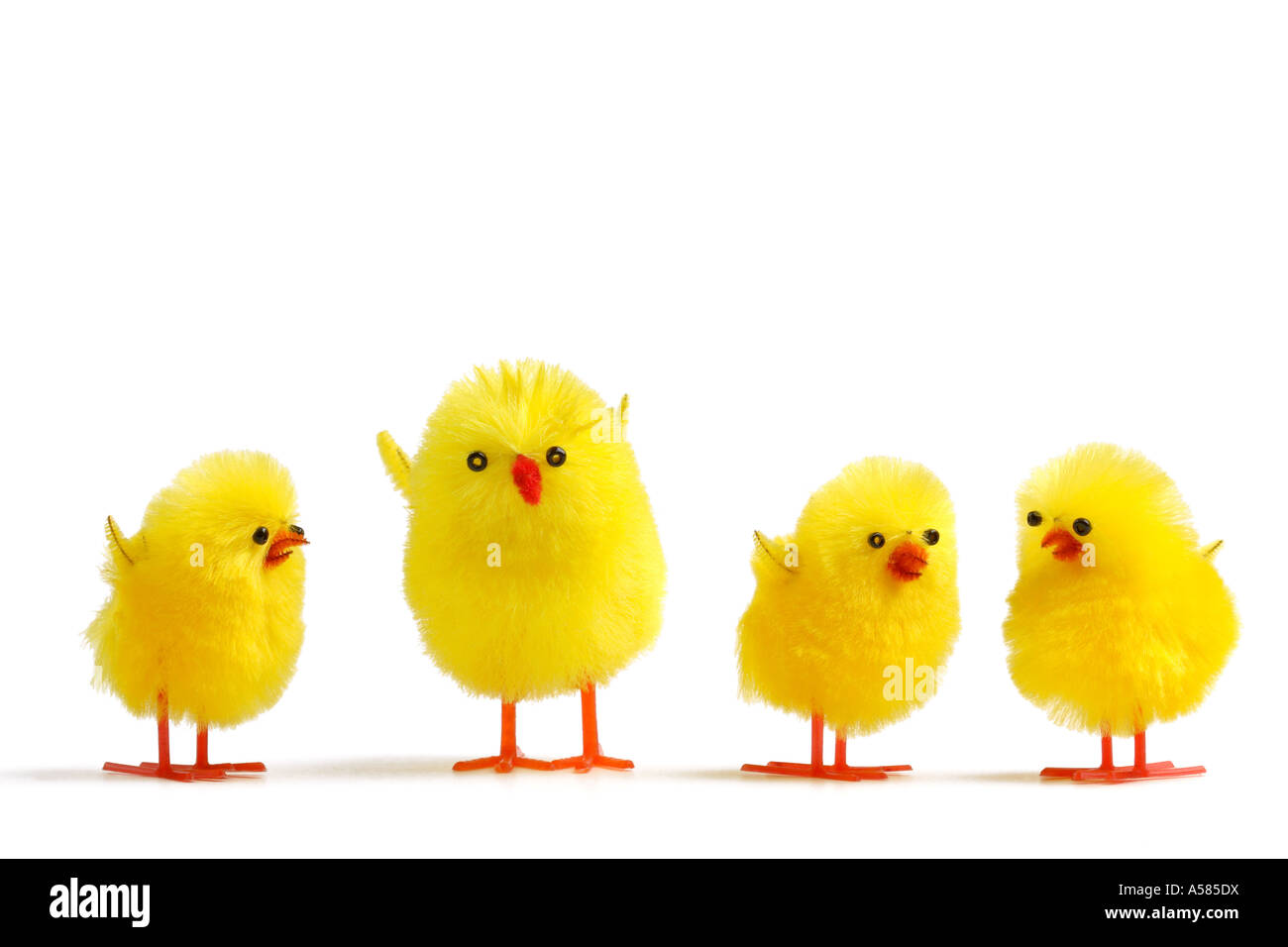 4 Easter chicks on white Stock Photo