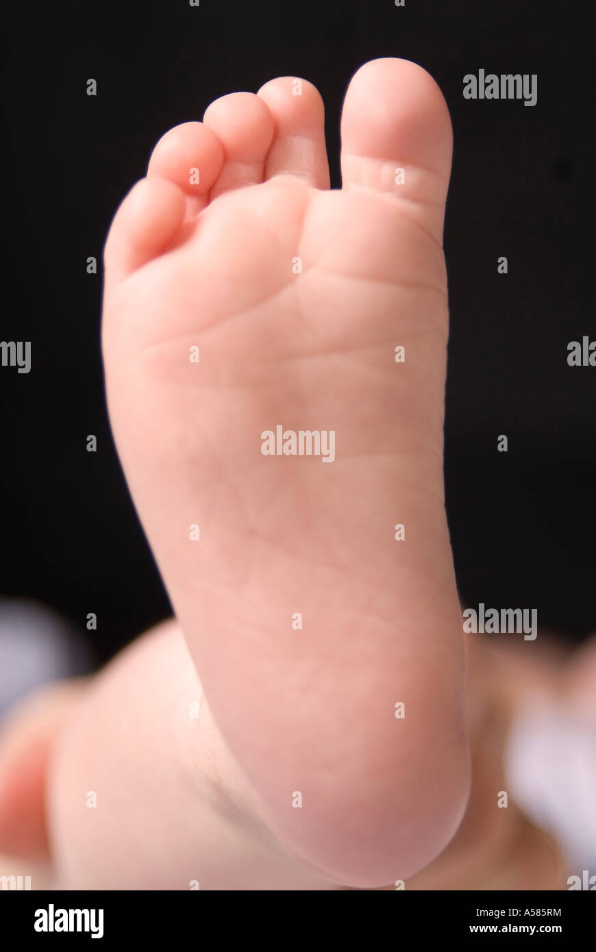 Foot of a baby (2 month old Stock Photo Alamy