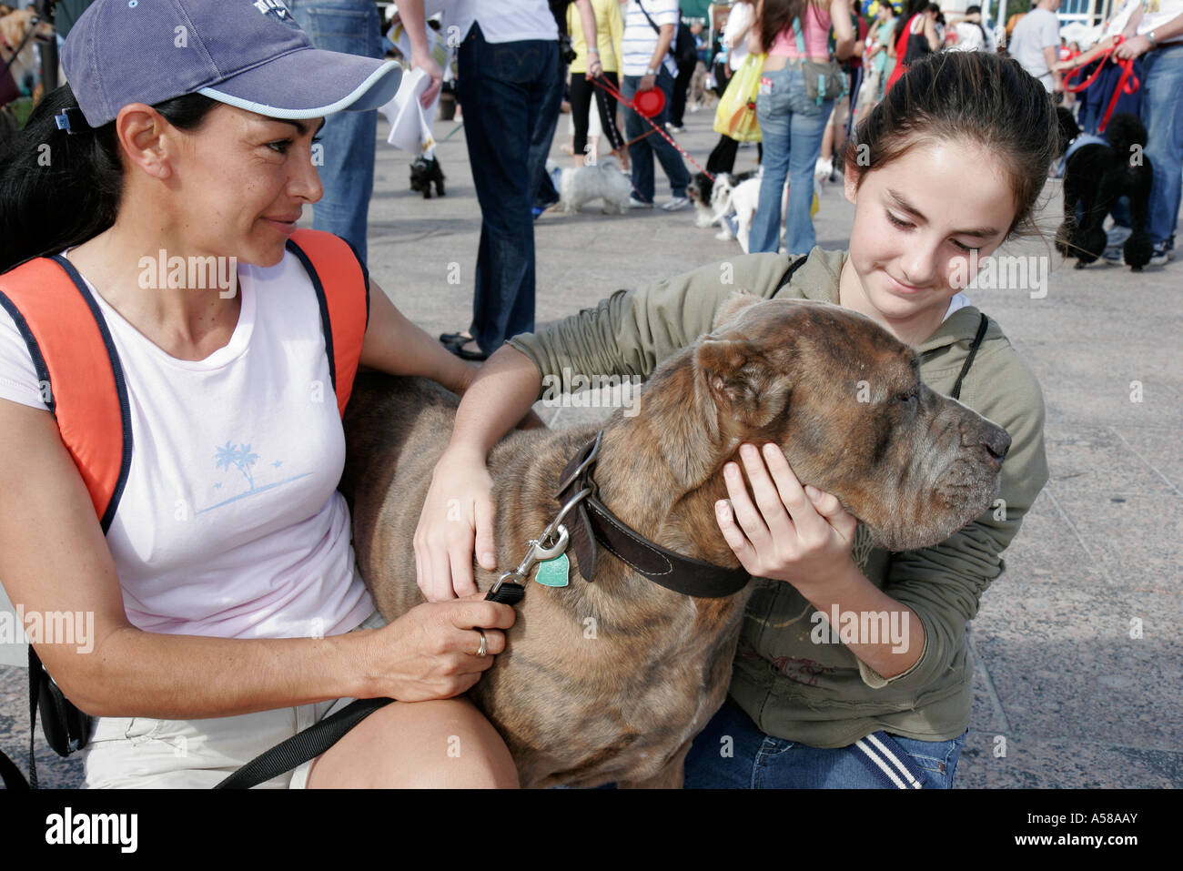 Miami Florida,Bayfront Park,Purina Walk for the Animals,fundraiser,corporate,sponsor animal,girl girls,youngster youngsters youth youths female kid ki Stock Photo