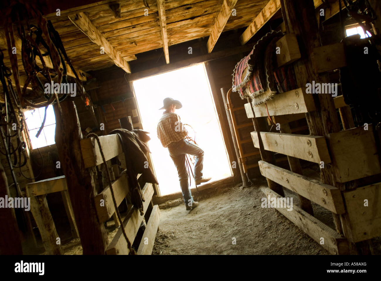 Cowboy in a barn at a Dude Ranch Knife River Ranch North Dakota Stock