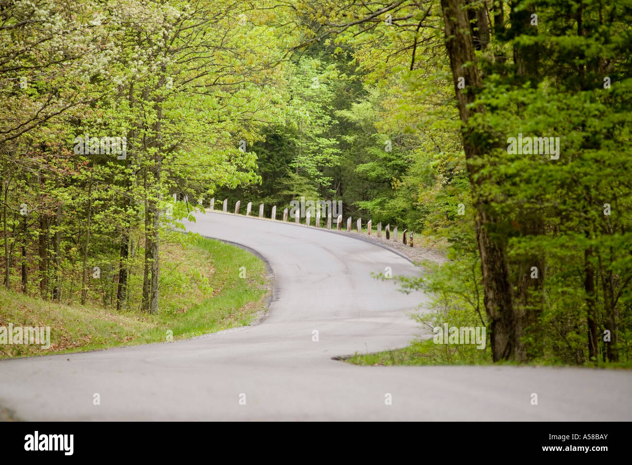 Road into Ferne Clyffe State park Illinois Stock Photo