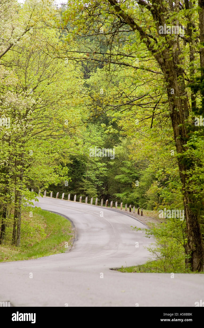 Road into Ferne Clyffe State park Illinois Stock Photo