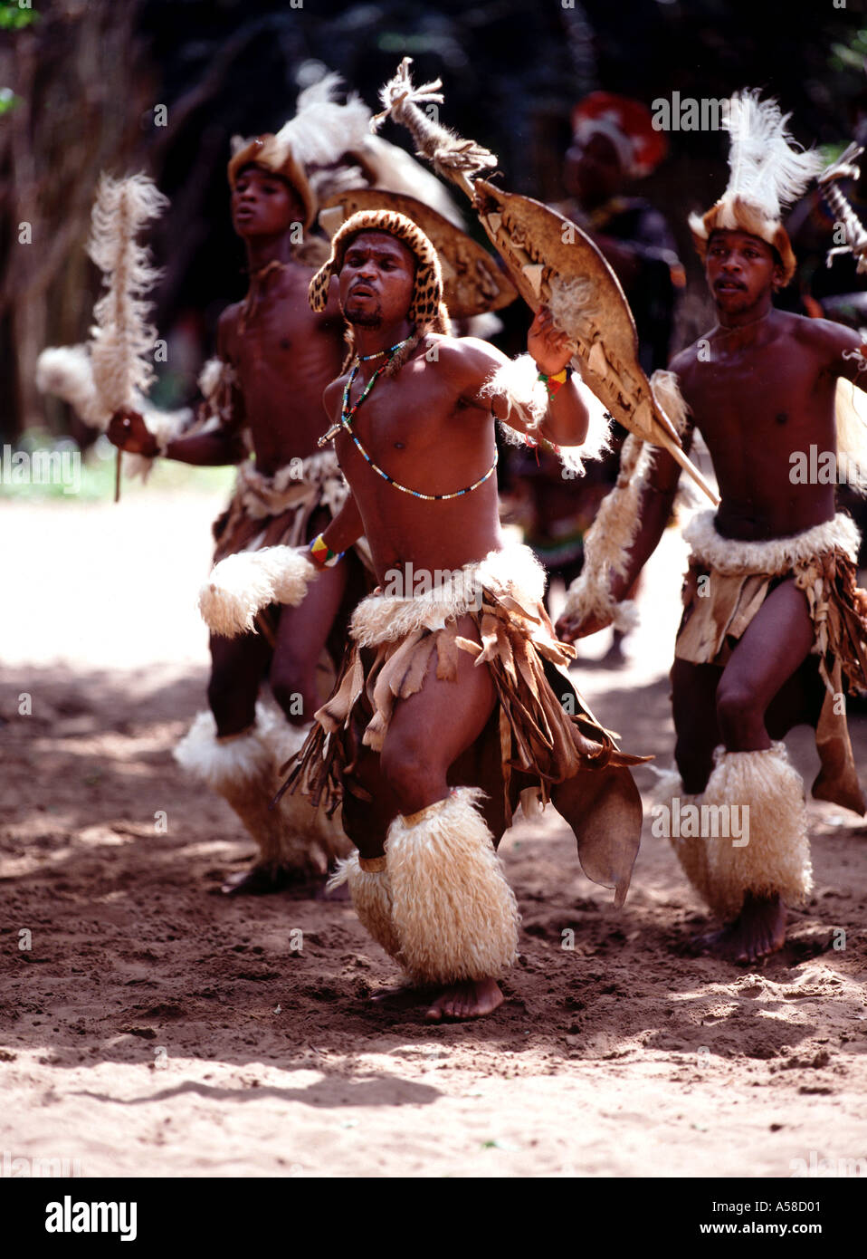 South Africa Simunye Zulu Warriors Fighting Stock Photo - Alamy