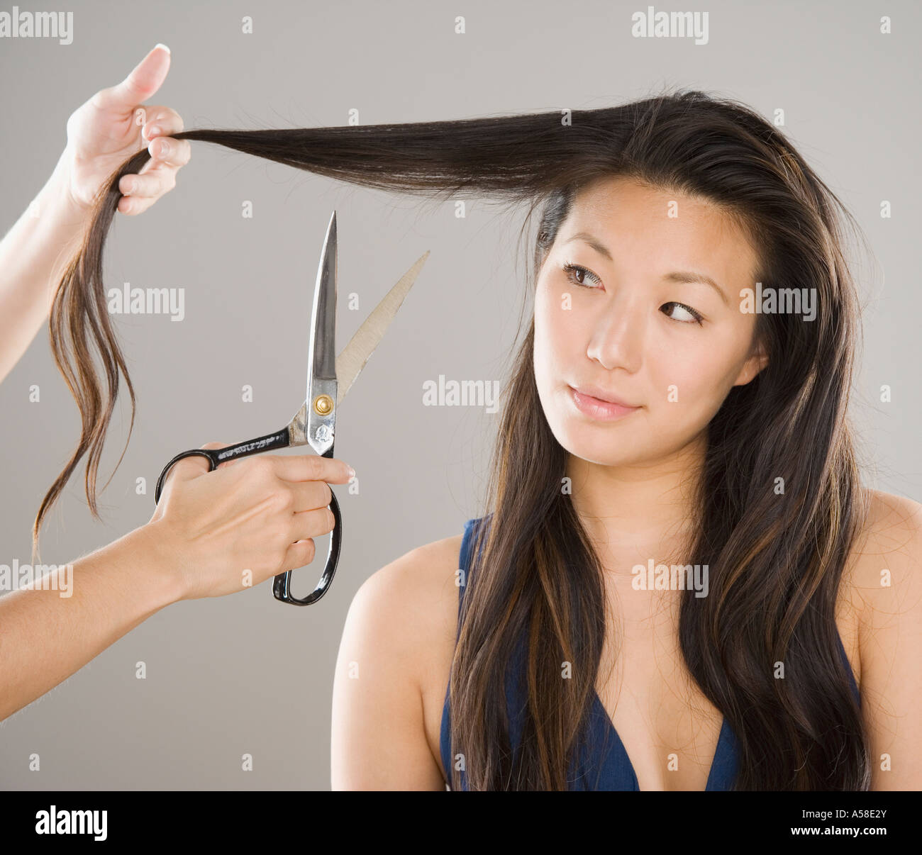Person holding scissors next to piece of Asian woman s hair Stock Photo