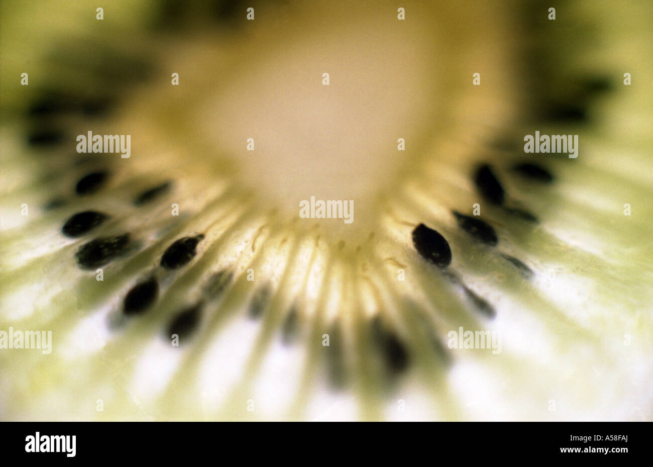 Extreme close up fruit hi-res stock photography and images - Alamy