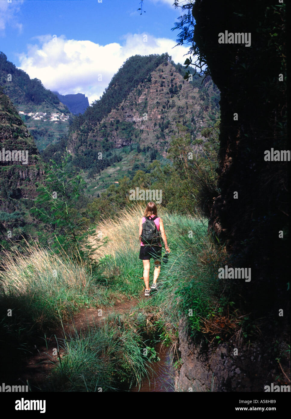 dh Levada dos Curral SOCORRIDOS VALLEY MADEIRA Walkers hiking Levadas