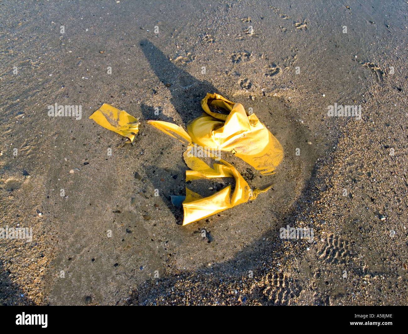 Discarded jacket hi-res stock photography and images - Alamy