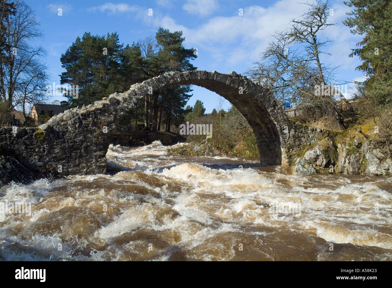 dh Dulnain River water rapids CARRBRIDGE SCOTLAND Scottish Old horse single span packhorse arch stone bridge over rivers in full spate bridges Stock Photo