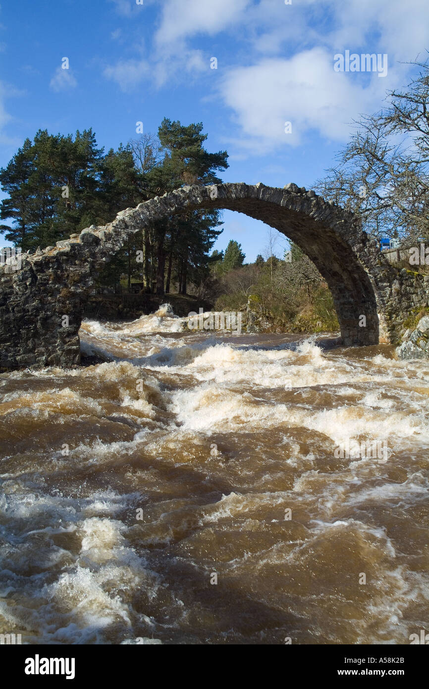dh Dulnain River stone bridges CARRBRIDGE INVERNESSSHIRE Old horse