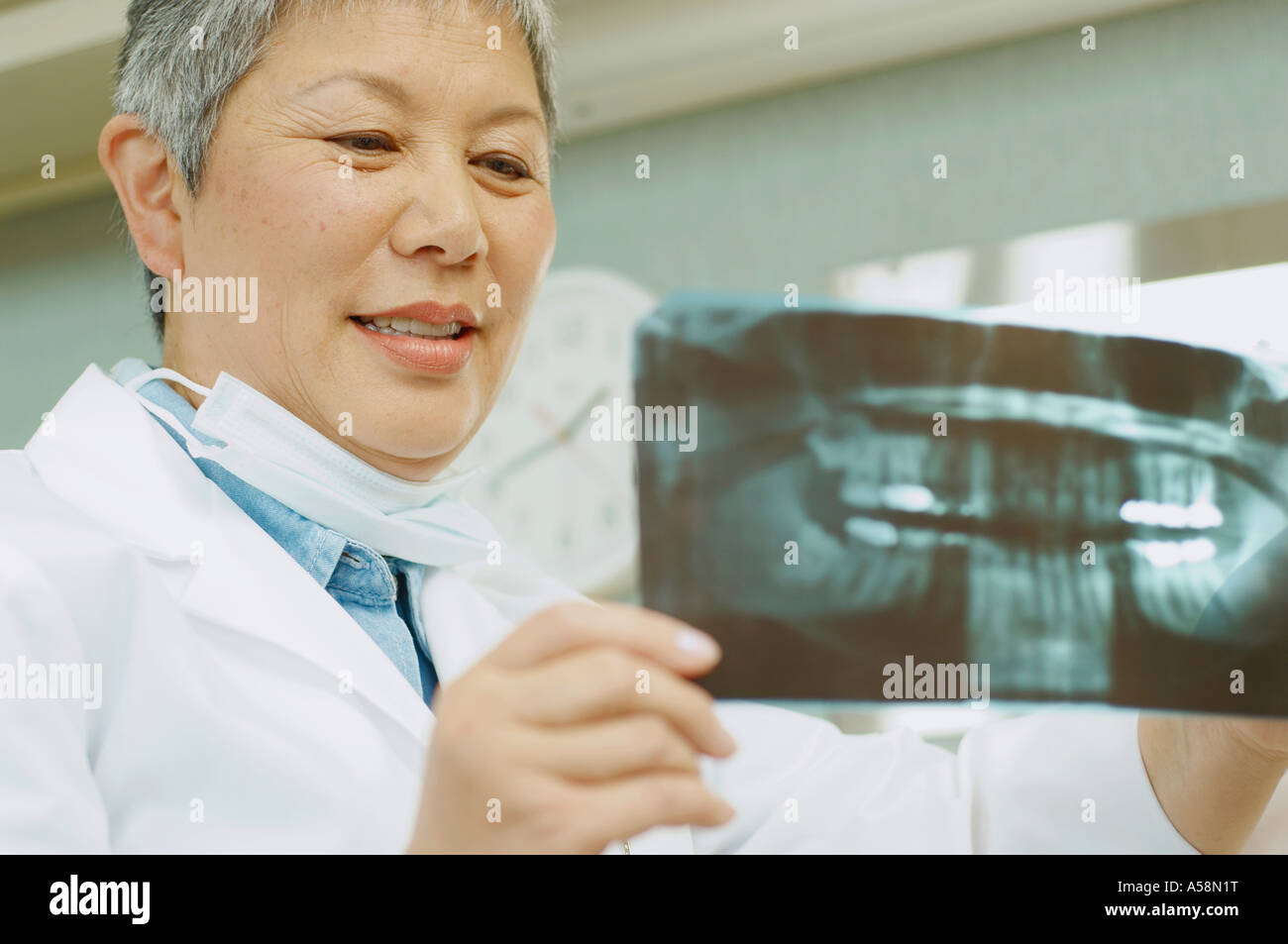 Senior Asian female dentist looking at x rays Stock Photo