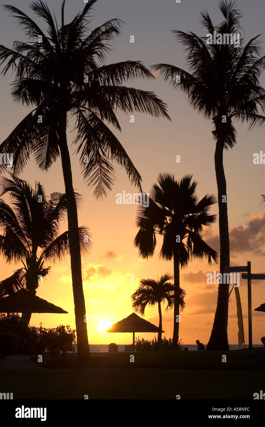 Sunset tropical beach palm hi-res stock photography and images - Alamy
