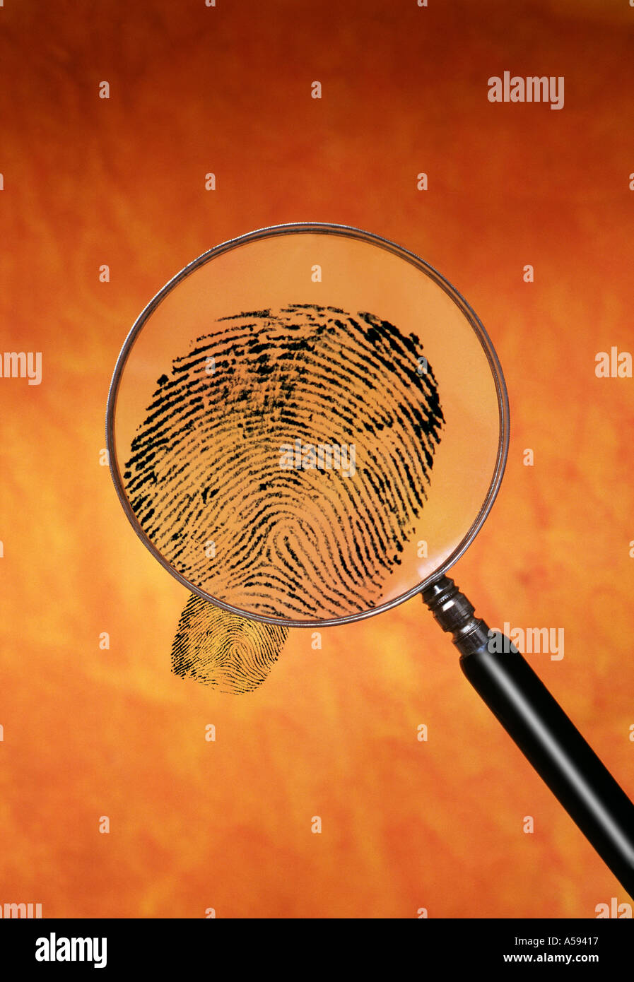 fingerprint under a magnifying glass Stock Photo