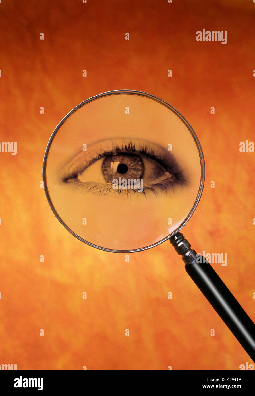 Clue eye hires stock photography and images Alamy