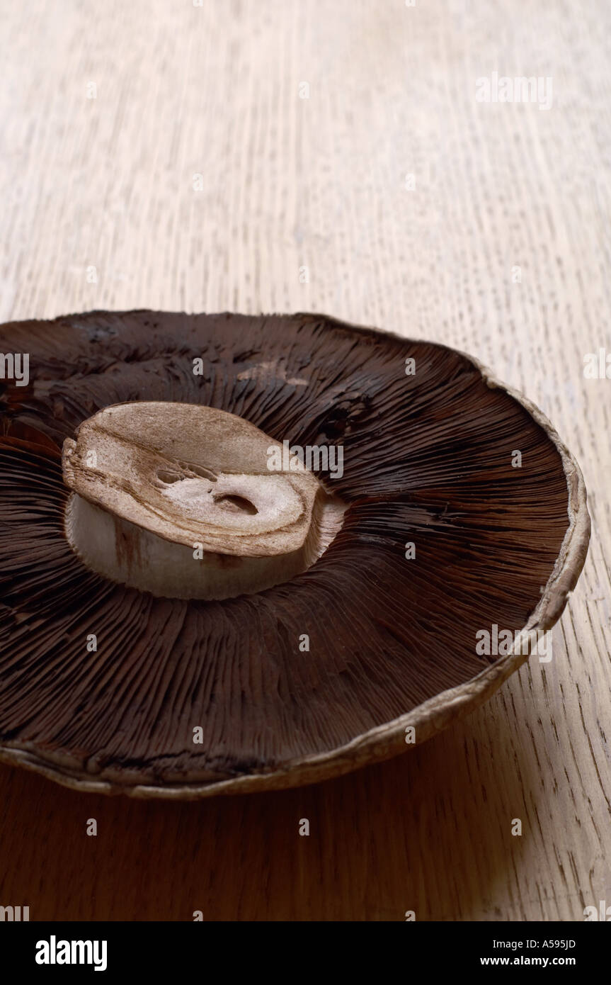 Baby portobello mushroom hi-res stock photography and images - Alamy