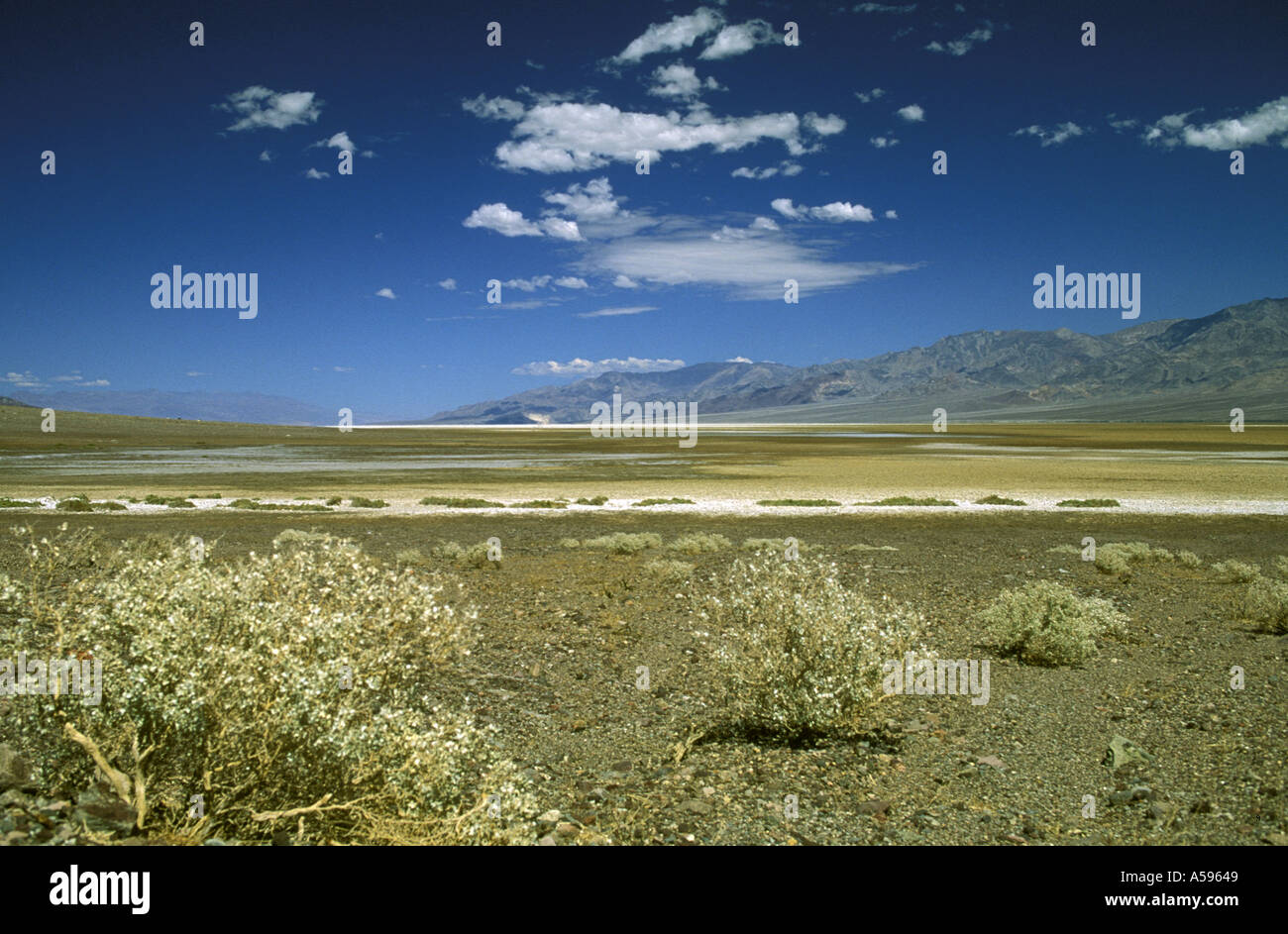 FLOOR OF DEATH VALLEY AND THE PANAMINT MOUNTAIN RANGE Stock Photo - Alamy