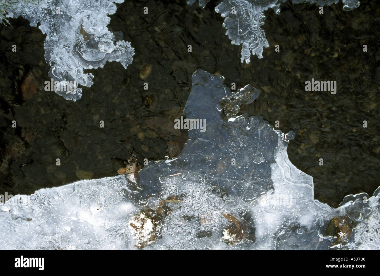 Ice Forms
