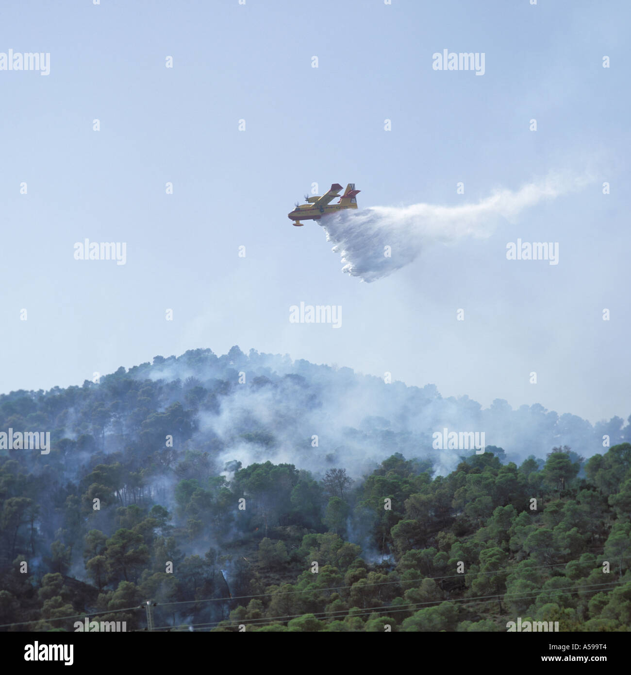 Canadair amphibious forest firefighting aircraft in operation at Paguera, Mallorca, Balearic Islands, Spain. Stock Photo